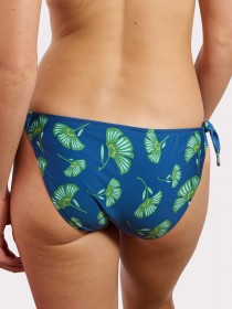 VENTAL AZUL Braguita lazo corbatero